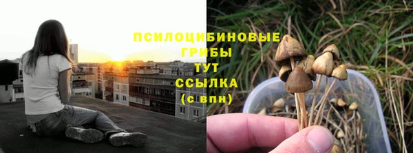 прущая мука Козловка