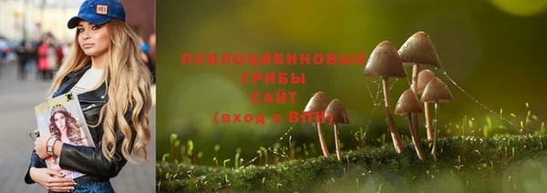 МДПВ Кодинск