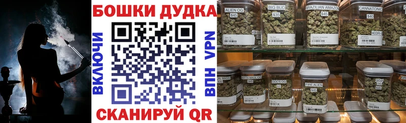 Каннабис OG Kush  Купить  Сыктывкар 